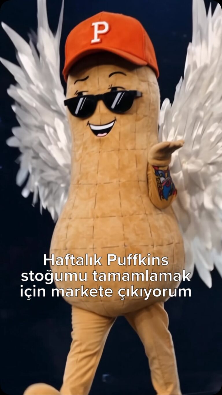 Instagram post from puffkins.tr. This post is in position 6.